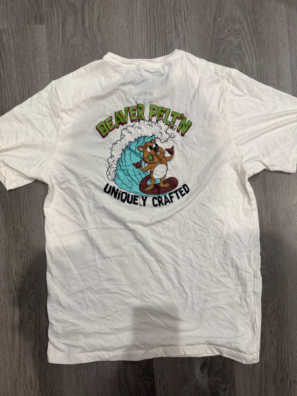 Beaver Pelt Graphic Tee in White with Teal and Brown